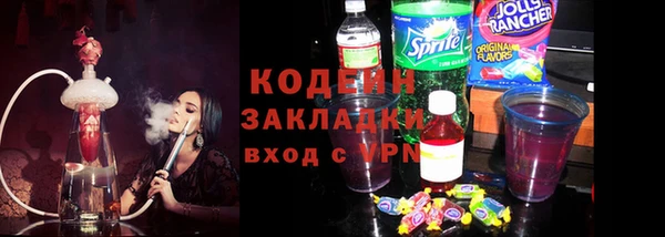 индика Алзамай