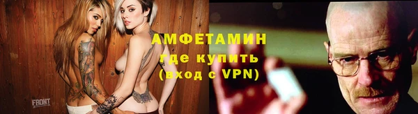 индика Алзамай