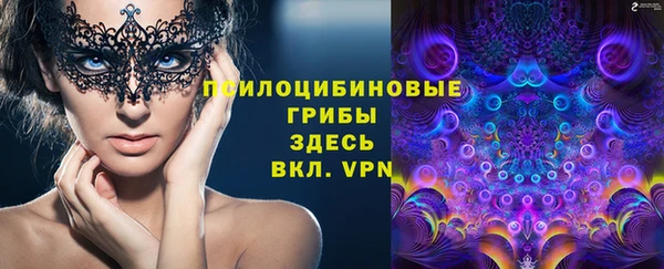 индика Алзамай