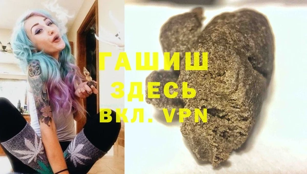 индика Алзамай