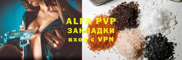 индика Алзамай