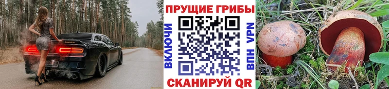Псилоцибиновые грибы Psilocybe  мориарти клад  Перевоз 
